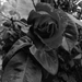 rózsák (12)