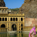 Monkey temple-Jaipur-India