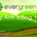 Tiếng Anh trải nghiệm Evergreen