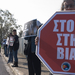 Görög tiltakozás az állati jogokért | cc0 - jogdíjmentes