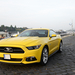 Album - 2015 Ford Mustang 50th Anniversary Edition