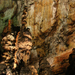 Baradla-barlang