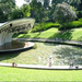 3194071-symphony lake at singapore botanic gardens-symphony lake