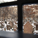 A zsidó temető