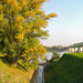 Aranyhegy patak találkozása a Dunával