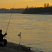 Duna - horgászfiú és egy hattyú az Árpád hídnál