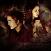 New-Moon-wallpaper-twilight-series-6580738-1024-768