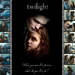 twilight-7380.png