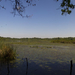 Tisza-tó panoráma 1