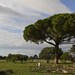 Paestum 4