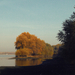 Öreg Duna színei...Csala-sziget v. Szerelem- sziget