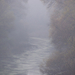 Novemberi köd a Holt-Rábca felett