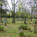 Mátraderecske #7 - öreg temető