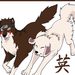 kiba wolf and akamaru dog