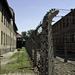 Auschwitz 9877