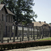 Auschwitz 9878