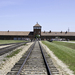 Birkenau 9893