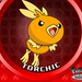 torchic