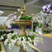 2014. MÁRCIUS,21. GARDEN EXPO 035