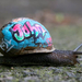 graffiti-snails