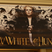 snow-white-and-the-huntsman-banner-poster