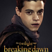 twilight saga breaking dawn part two ver14