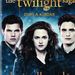 The Twilight Saga Breaking Dawn Part 1 &amp; 2 2D HU