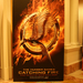 catching-fire-poster