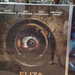 eliza-graves-poster-cannes