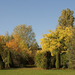 Kecskeméti Arborétum - őszi panoráma 2012