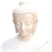buddha14