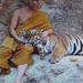 monk with tiger2
