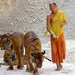 monk with tigers