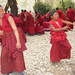 szerzetesek vitazo