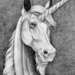 ArtUnicornPencilENH (Medium)