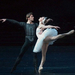 ballet  (15) (Medium)