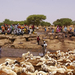 a-well-near-the-iridimi-refugee-camp-near-iriba-on-june-24-2008 