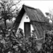 Csőszkunyhó egy laskói szőlőskertben 1941-ben.
