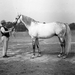 Ló és trénere, 1938.0