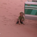 0125 - Wadi Rum -