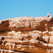 0188 - Wadi Rum -