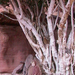 0213 - Wadi Rum