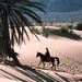 0219 - Wadi Rum