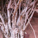 0212 - Wadi Rum