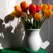 Húsvéti tulipánok