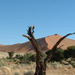 Namíb-sivatag