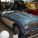 Austin Healey 1954