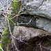 Turul- Tatabánya -Szelim barlang