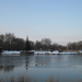 Tatabánya Csónakázó tó2015.jan.26