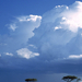 Storm Over the Savannah, Masai Mara National Reserve, Kenya